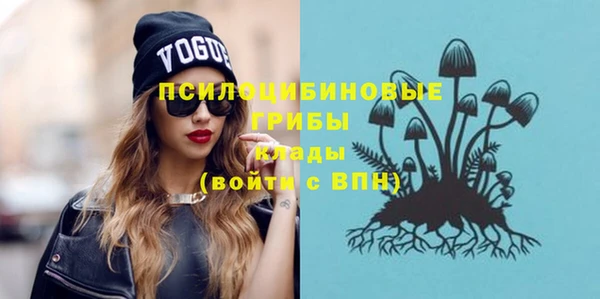 ГАЛЛЮЦИНОГЕННЫЕ ГРИБЫ Абаза