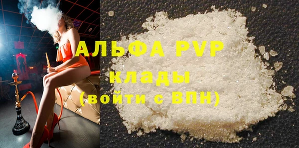 стафф Алзамай