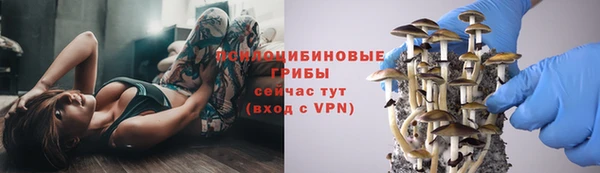 ГАЛЛЮЦИНОГЕННЫЕ ГРИБЫ Абаза