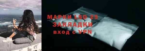 стафф Алзамай