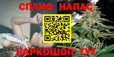 гашик Кулебаки