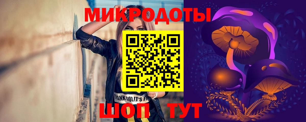 Галлюциногенные грибы Psilocybe Ефремов